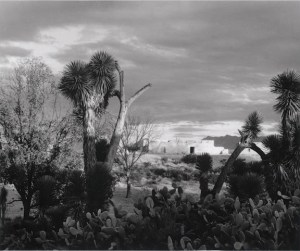 Cartier-bresson-Strand02