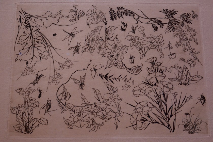 Félix Bracquemond (1833-1914). "Flores e insectos". Tablero 23 del Servicio Rousseau, 1866. Aguafuerte.